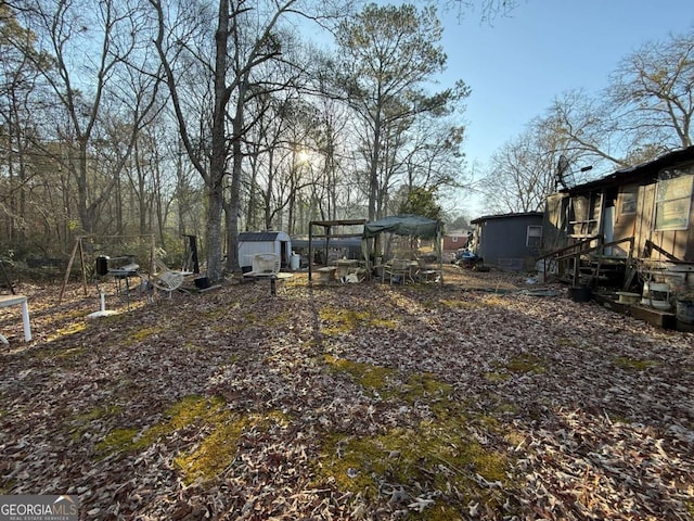 view of yard featuring a storage unit