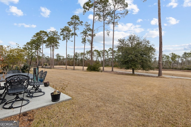 view of yard featuring a patio area