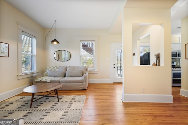 living room featuring plenty of natural light and light wood-type flooring