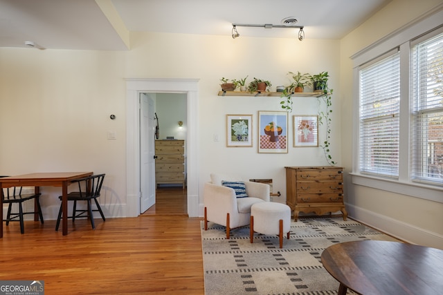 living area featuring rail lighting, a healthy amount of sunlight, and light wood-type flooring