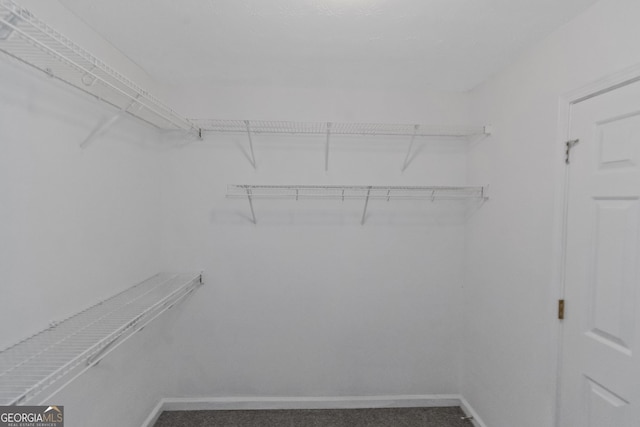 walk in closet featuring carpet flooring