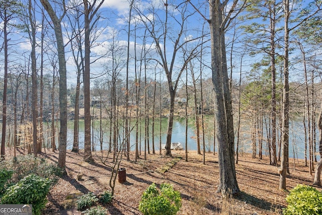 213 Pine Crest Dr, Cumming, GA 30040 - water view