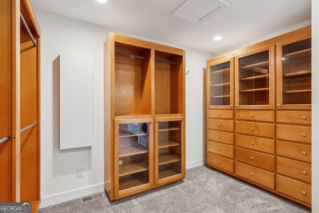 spacious closet featuring carpet flooring