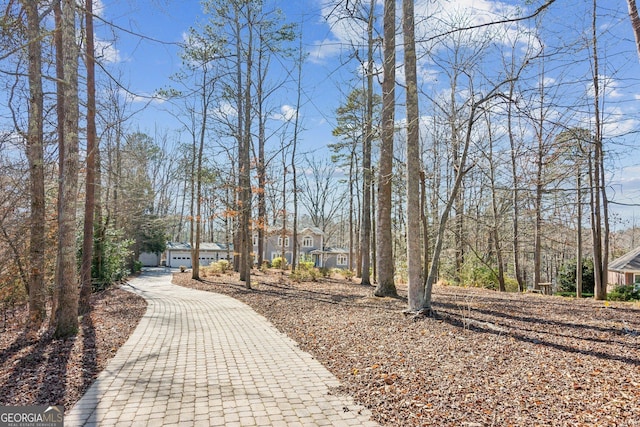 213 Pine Crest Dr, Cumming, GA 30040 - view of property's community