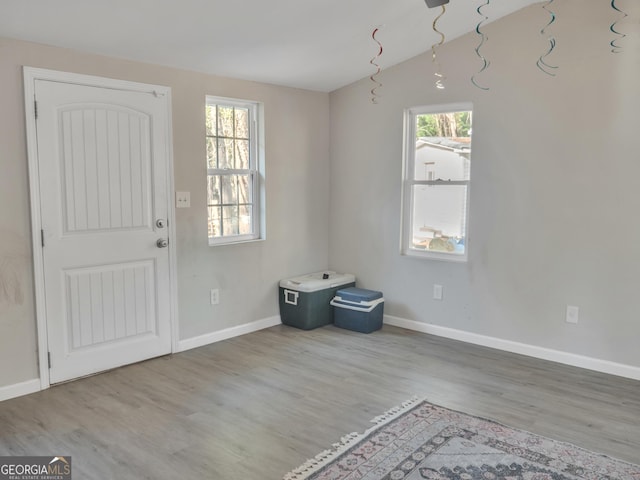 foyer entrance with baseboards and wood finished floors