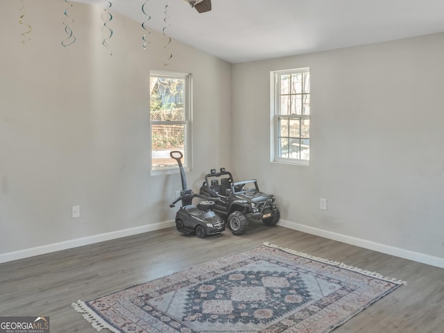 miscellaneous room featuring wood finished floors, a wealth of natural light, and baseboards