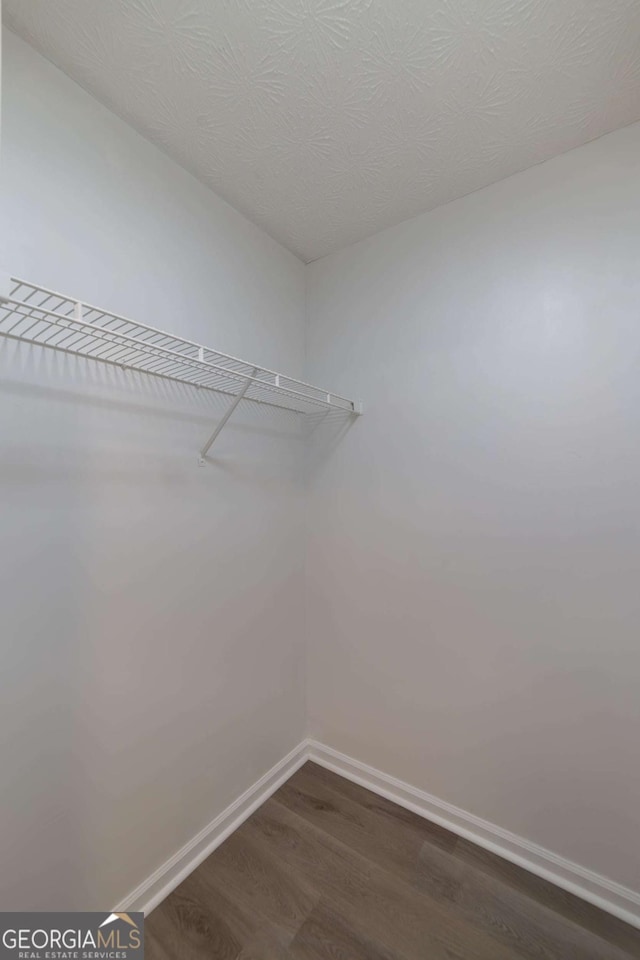 spacious closet featuring dark hardwood / wood-style floors