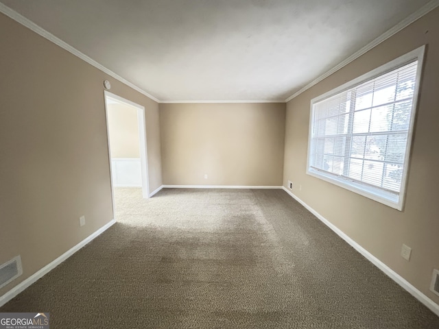 spare room with ornamental molding and carpet flooring