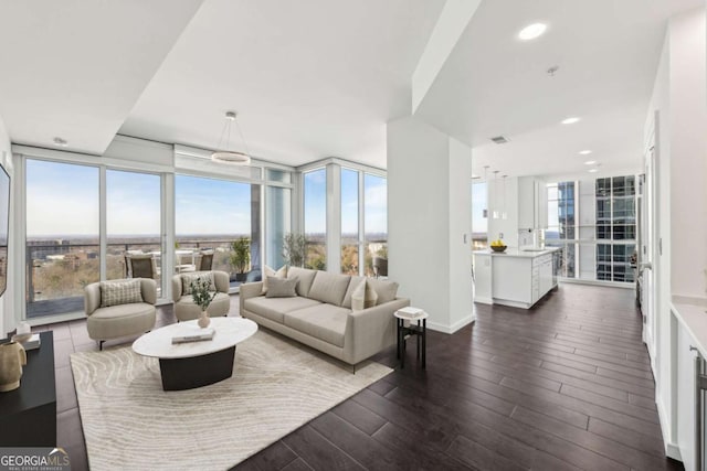 living room featuring dark hardwood / wood-style flooring and a wall of windows