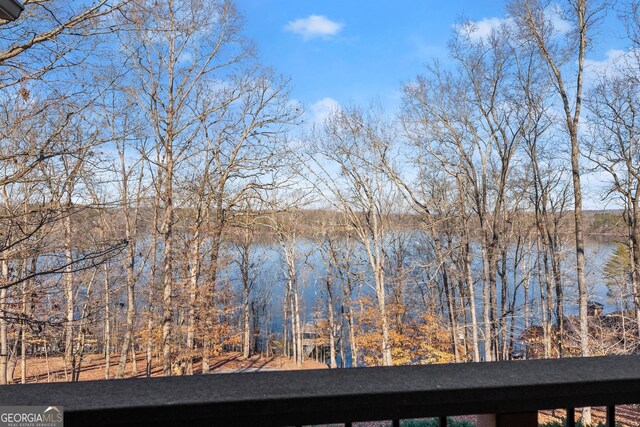 property view of water