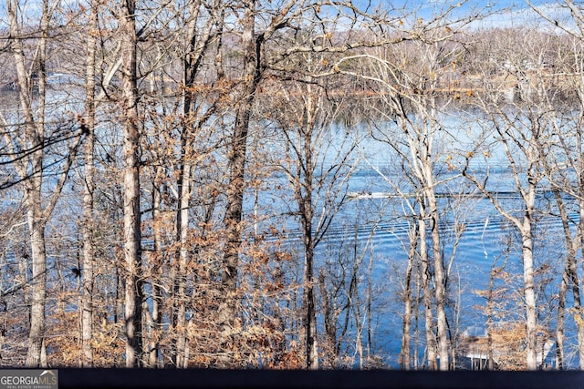 view of water feature