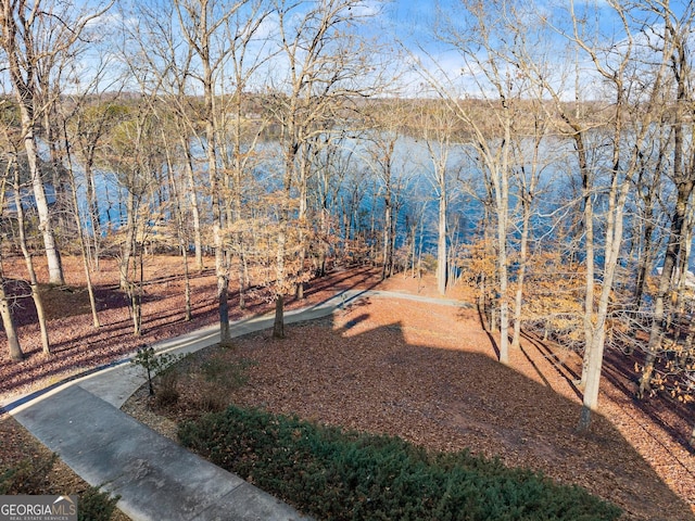 view of yard with a water view