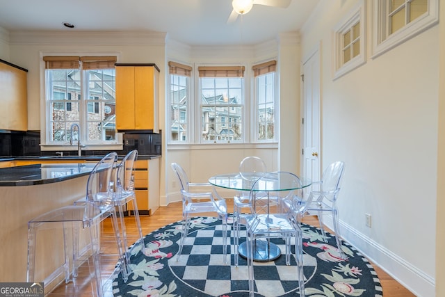 dining space with ceiling fan, ornamental molding, sink, and light hardwood / wood-style floors