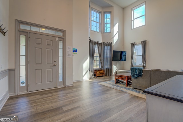 entrance foyer featuring hardwood / wood-style floors and a high ceiling