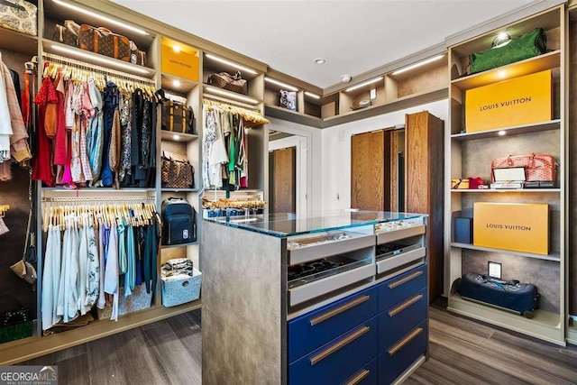 spacious closet featuring dark hardwood / wood-style floors