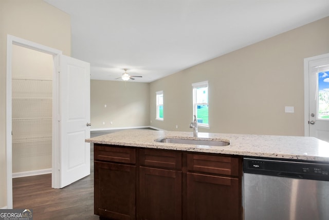 kitchen featuring plenty of natural light, sink, stainless steel dishwasher, and dark hardwood / wood-style flooring