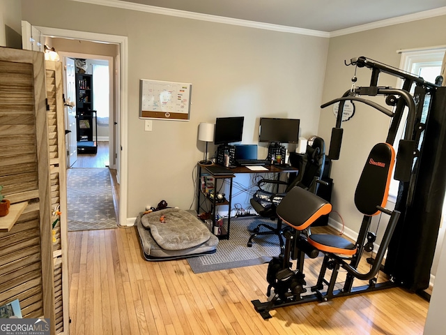 exercise room with crown molding and light hardwood / wood-style flooring