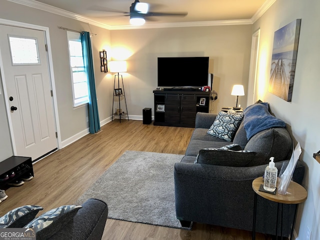 living room featuring ceiling fan, ornamental molding, and light hardwood / wood-style floors