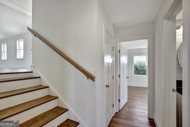 staircase featuring hardwood / wood-style floors