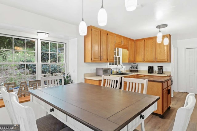 interior space with sink and hardwood / wood-style floors