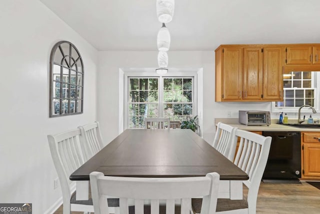 dining space with sink and light hardwood / wood-style floors