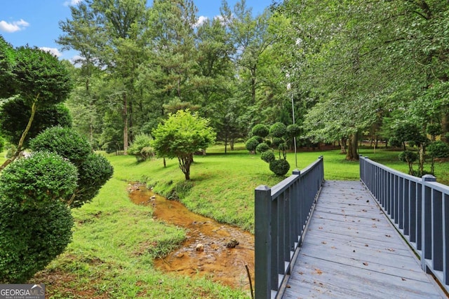 view of home's community with a yard