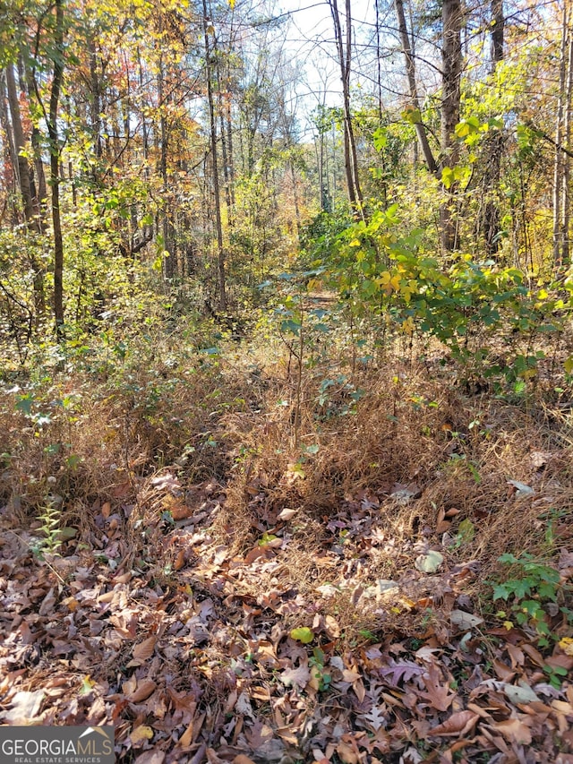 5878 Bentley Rd, Cumming GA, 30040 land for sale