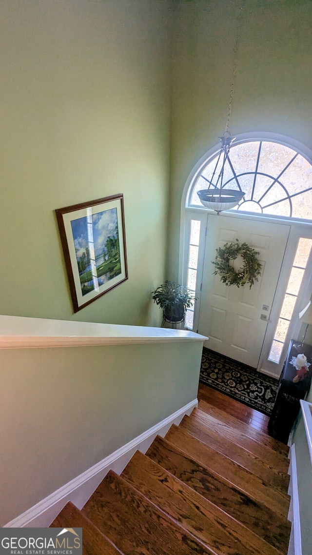 entrance foyer with wood-type flooring