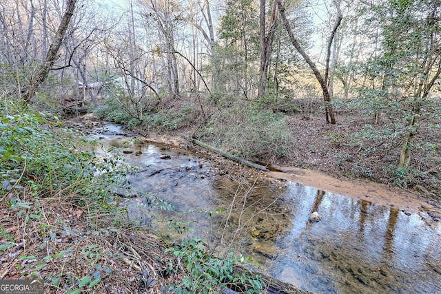 view of local wilderness