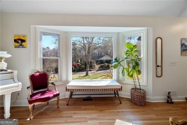 sitting room featuring a healthy amount of sunlight and light hardwood / wood-style floors