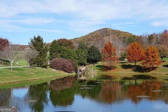 property view of water featuring a mountain view