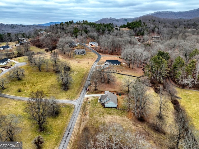 aerial view with a mountain view