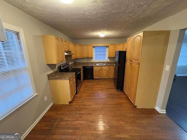 kitchen featuring dark hardwood / wood-style floors, light brown cabinetry, sink, and black appliances