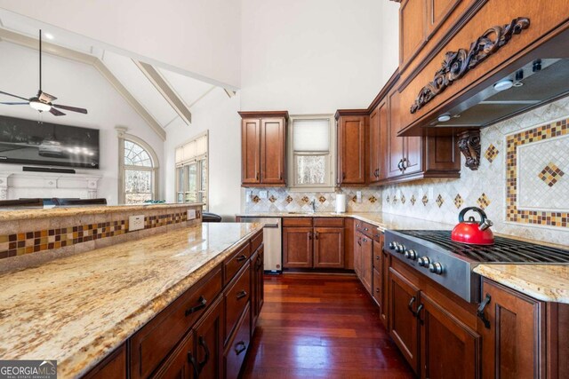 kitchen with ceiling fan, appliances with stainless steel finishes, dark hardwood / wood-style floors, light stone countertops, and custom range hood