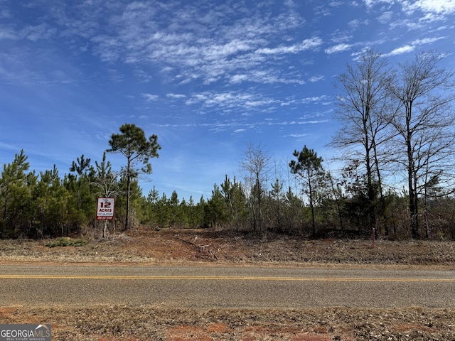 017 Dozier Rd, Ellaville GA, 31806 land for sale