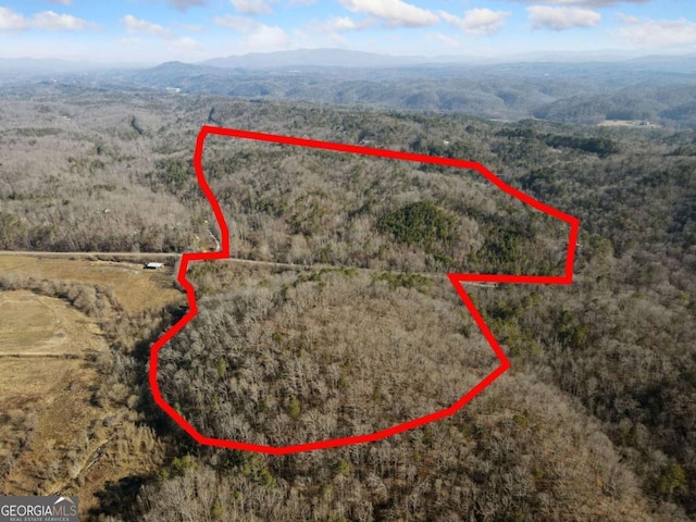 61AC Whitestone Rd, Talking Rock GA, 30175 land for sale