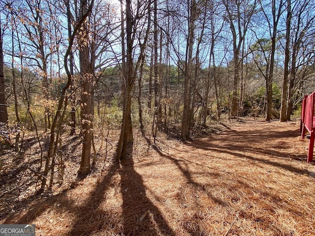 4299 High Country Dr, Douglasville, GA 30135 - view of local wilderness