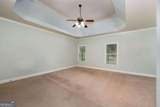 spare room featuring a tray ceiling, ornamental molding, and carpet flooring