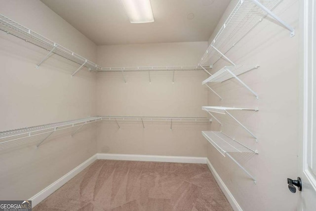 walk in closet featuring carpet