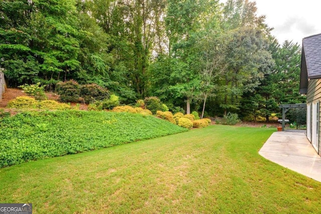 view of yard featuring a patio area