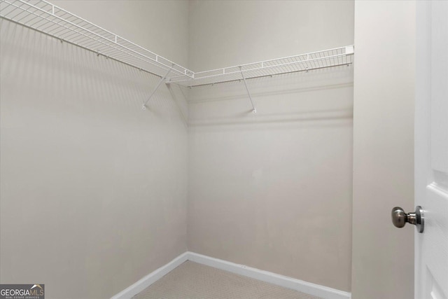 walk in closet with carpet flooring