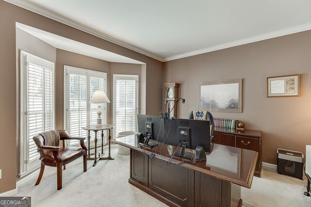 carpeted home office featuring crown molding