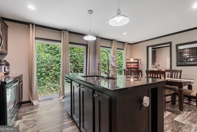 kitchen featuring sink, dark stone countertops, hanging light fixtures, stainless steel appliances, and an island with sink