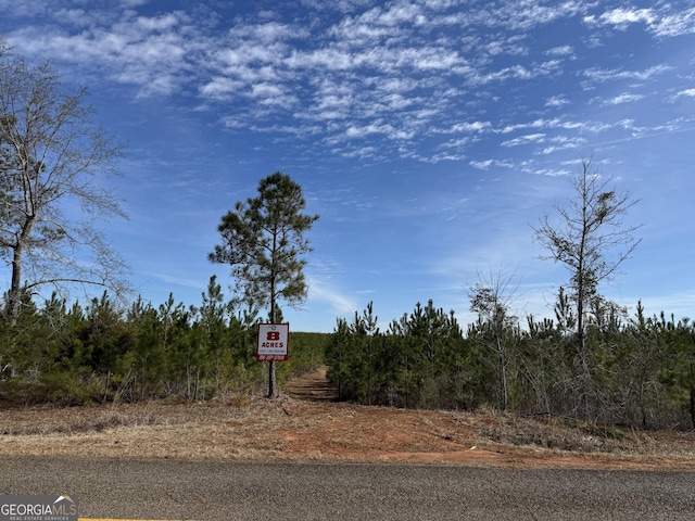 016 Dozier Rd, Ellaville GA, 31806 land for sale