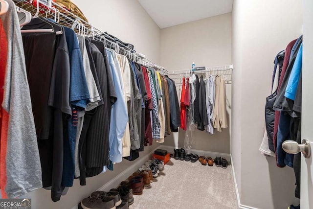 spacious closet with carpet