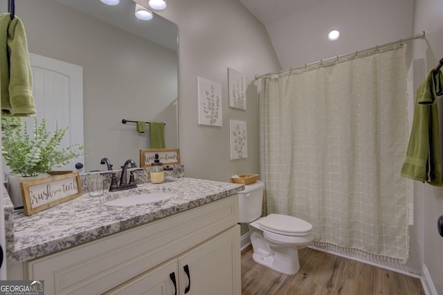 bathroom featuring hardwood / wood-style flooring, vanity, toilet, and a shower with shower curtain