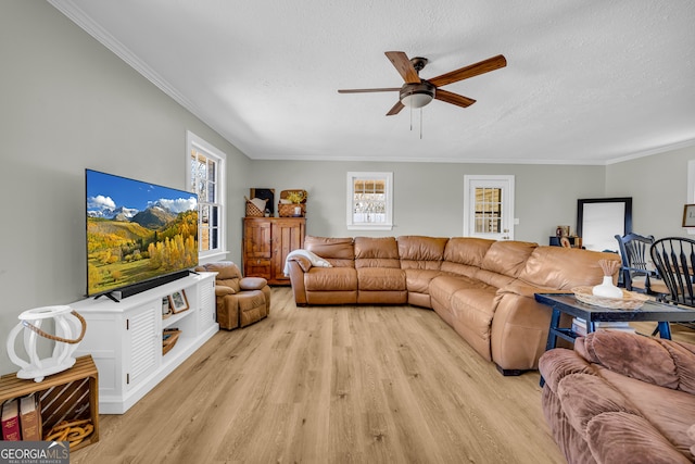 living room featuring ornamental molding, a textured ceiling, and light wood-type flooring