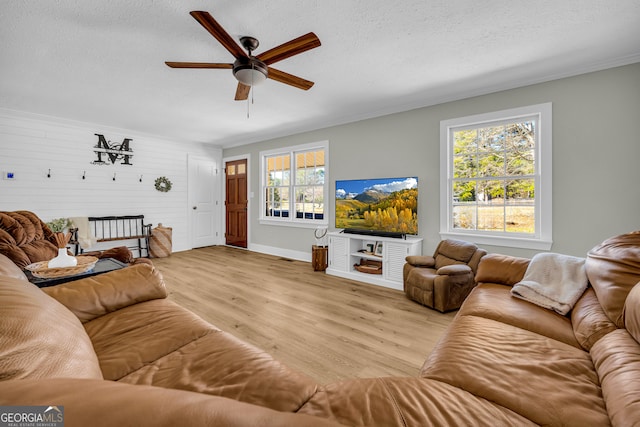 living room with ceiling fan, ornamental molding, a textured ceiling, and light wood-type flooring