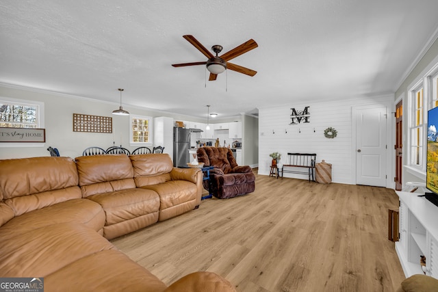 living room with ornamental molding, ceiling fan, a textured ceiling, and light wood-type flooring