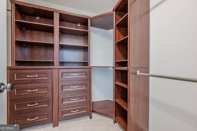 walk in closet with light colored carpet